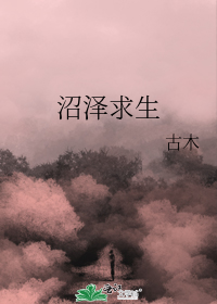 中微子大炮