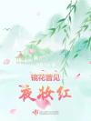渣男成长记